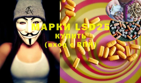 эйфоретик Липки