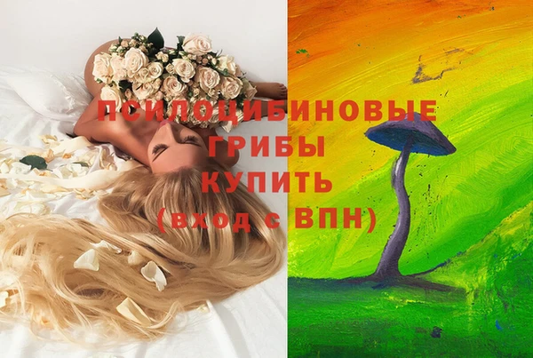 ешки Абдулино